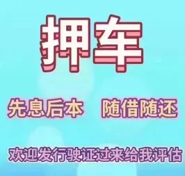 武汉压绿本贷款哪个平台好